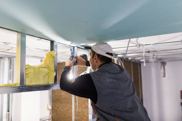 Best Eco-Friendly Insulation in Roanoke, IN