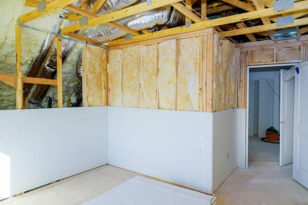 Best Geographic-Specific Insulation Services in Roanoke, IN