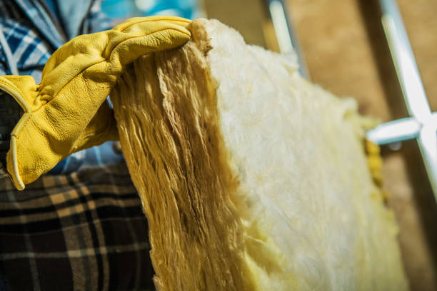 Best DIY Insulation Kits and Guidance in Roanoke, IN