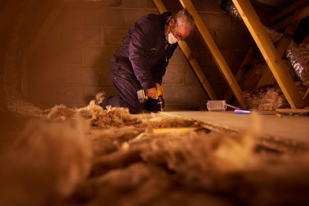 Best Specialized Insulation Services in Roanoke, IN